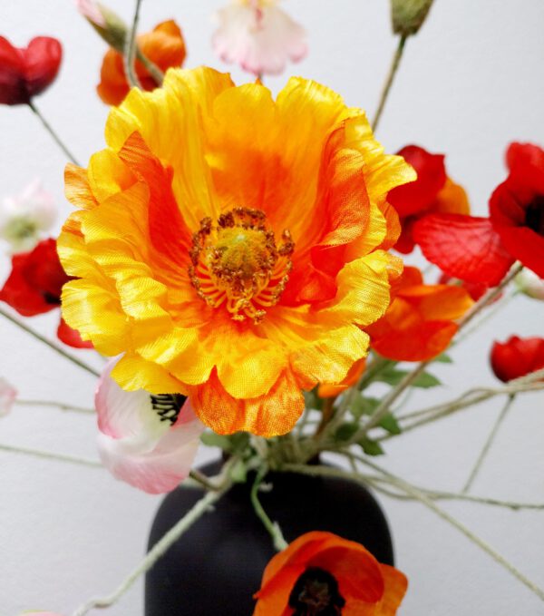 Perfect Papaver - Afbeelding 2