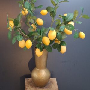 Lemonade