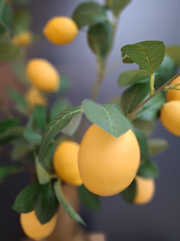 Lemonade - Afbeelding 2