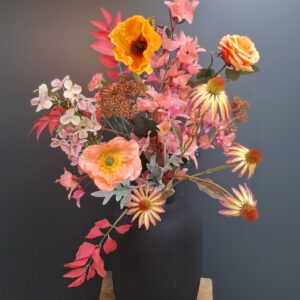 Coral Dreams