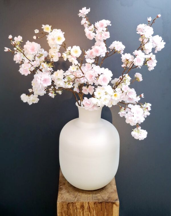 Blossom