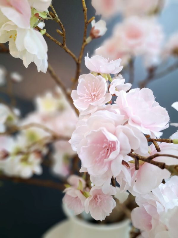 Blossom - Afbeelding 2