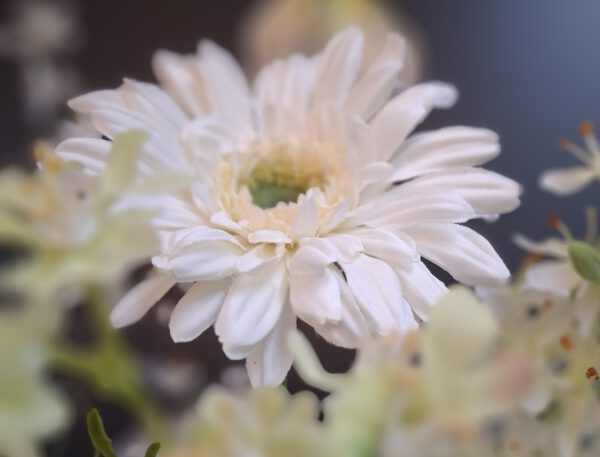 Pure White - Afbeelding 2